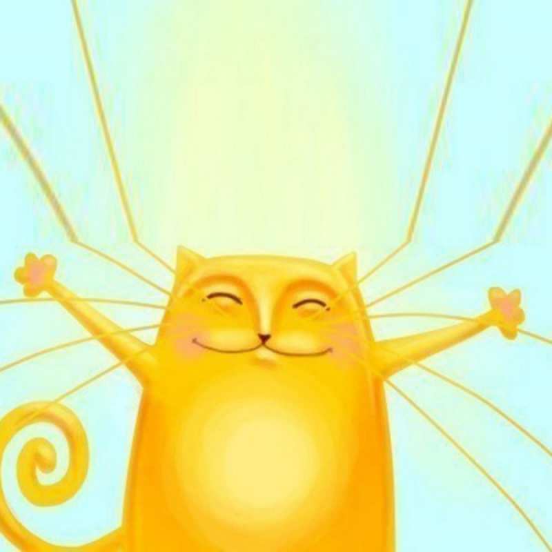 Открытка Кот дарит тепло  обнимашки усатые  Do not be sad 