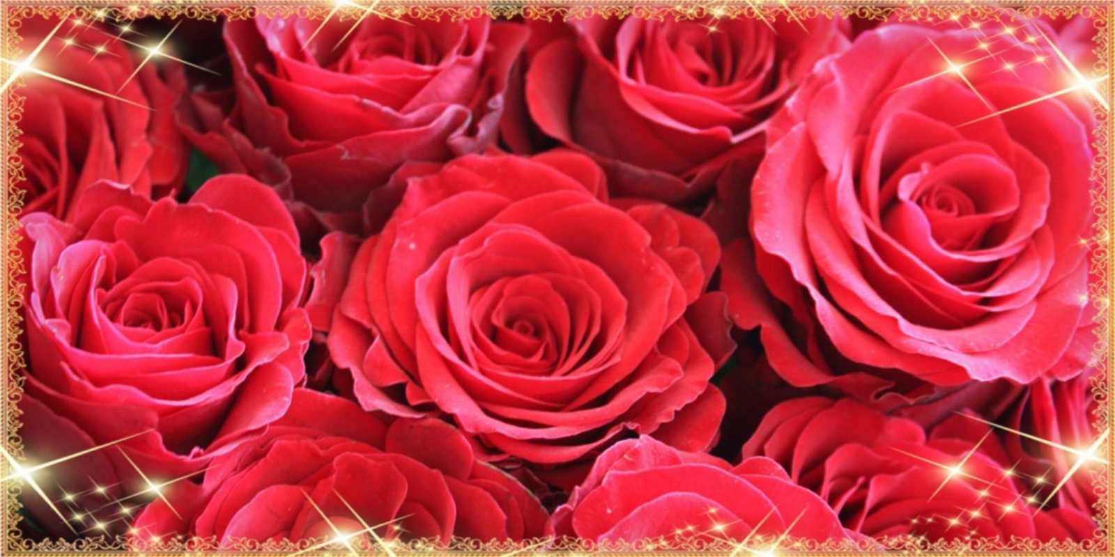 Открытка много распустившихся роз на 8 марта красивым и любимым женщинам открытки на 8 марта 2019 года happy women`s day 