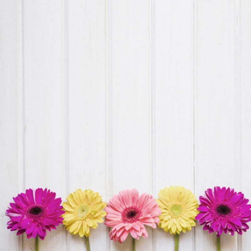 Открытка красота 1 женщинам 1 happy women`s day 