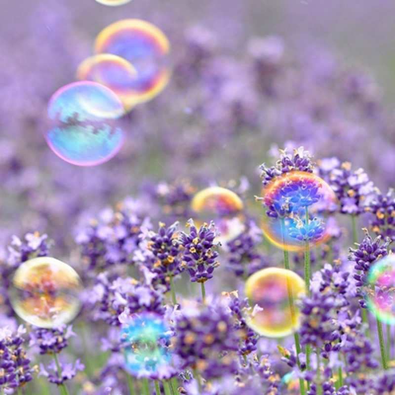 Открытка цветы и мыльные пузыри  цветы  happy women`s day 