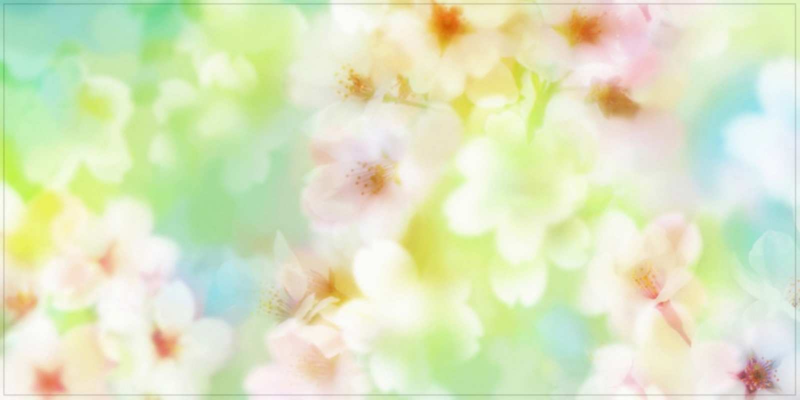 Открытка красивые цветы летнее настроение удачного летнего солнечного дня Have a good day 