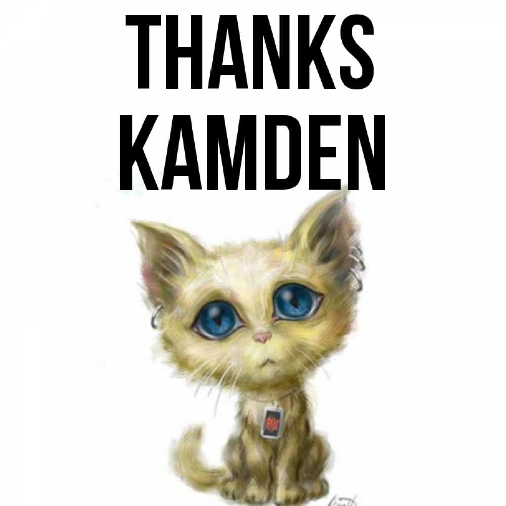 Greetings card с именем, Kamden Thanks рисованный кот благодарит вас Greetings with text for free download 