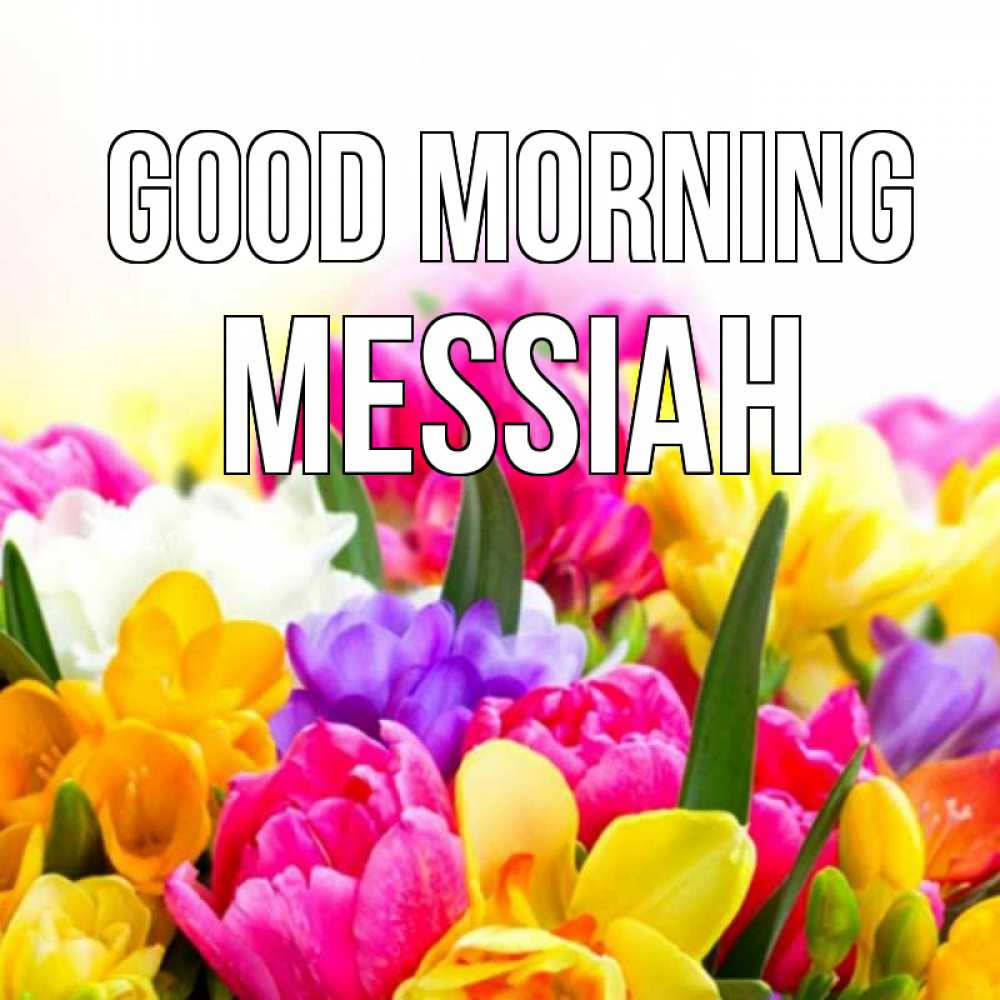 Greetings card с именем, Messiah Good morning создать открытку со свое подписью Greetings with text for free download 