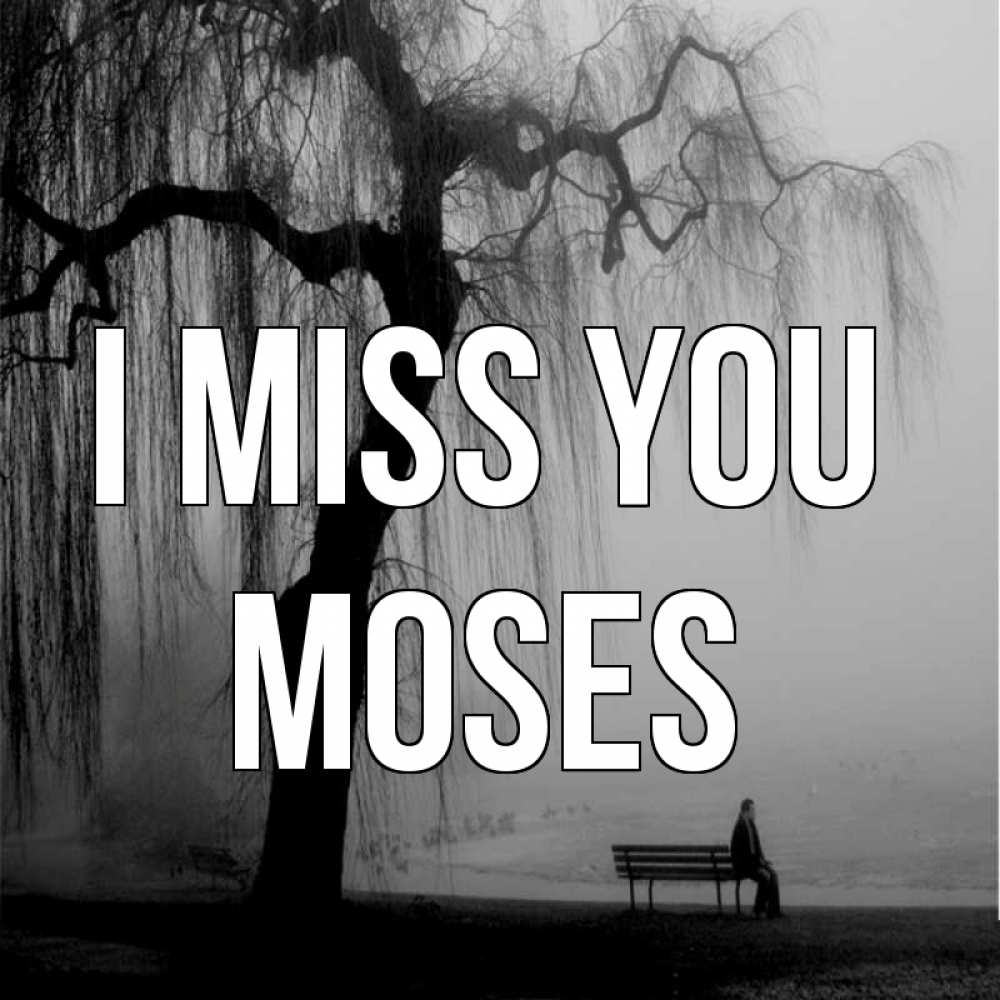Greetings card с именем, Moses I miss you лавочка под деревом я жду тебя Greetings with text for free download 