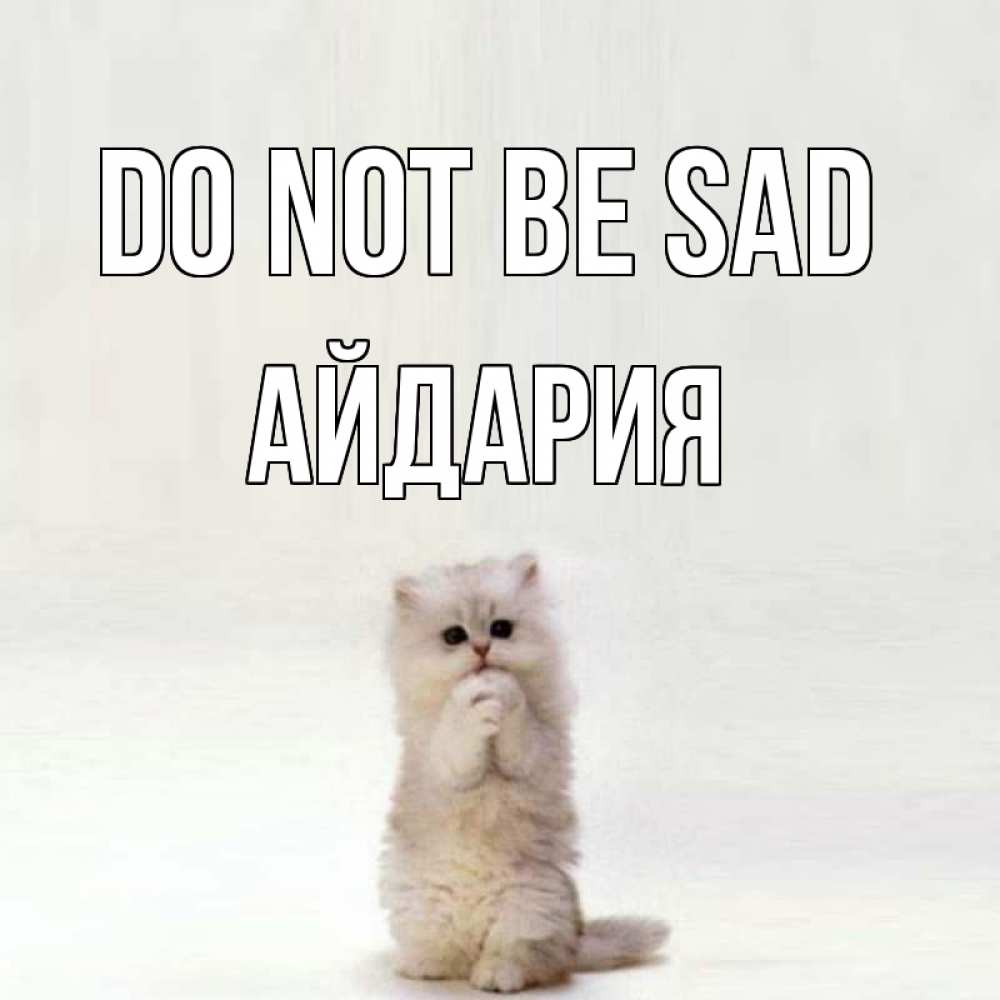 Greetings card с именем, АЙДАРИЯ Do not be sad грустный кот Greetings with text for free download 
