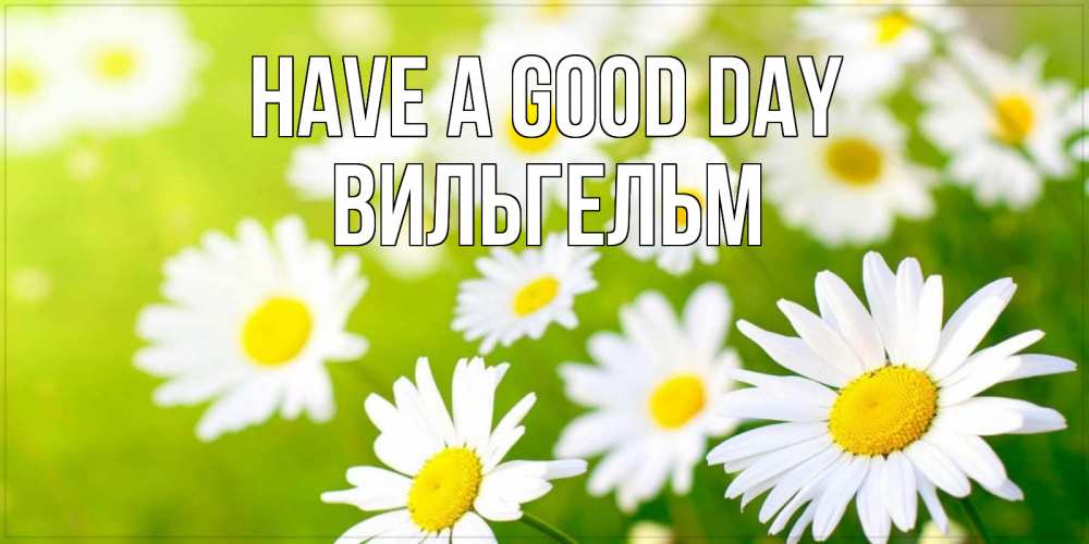 Greetings card с именем, Вильгельм Have a good day открытка с ромашками на зеленом фоне Greetings with text for free download 