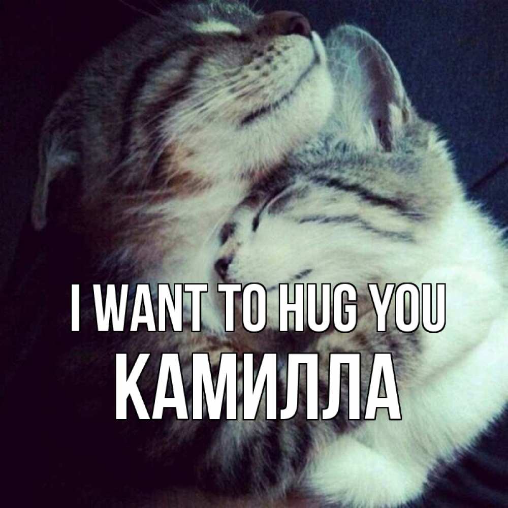 Greetings card с именем, Камилла I want to hug you полосатики Greetings with text for free download 