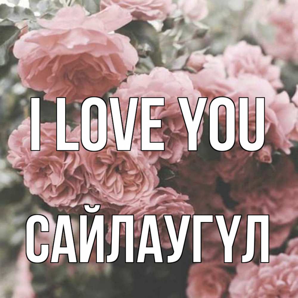 Greetings card с именем, САЙЛАУГҮЛ I love you розы 3 Greetings with text for free download 