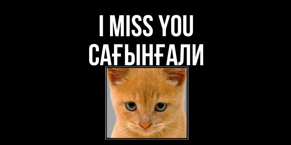 Greetings card с именем, Сағынғали I miss you открытки рыжий котенок скучает по тебе Greetings with text for free download 