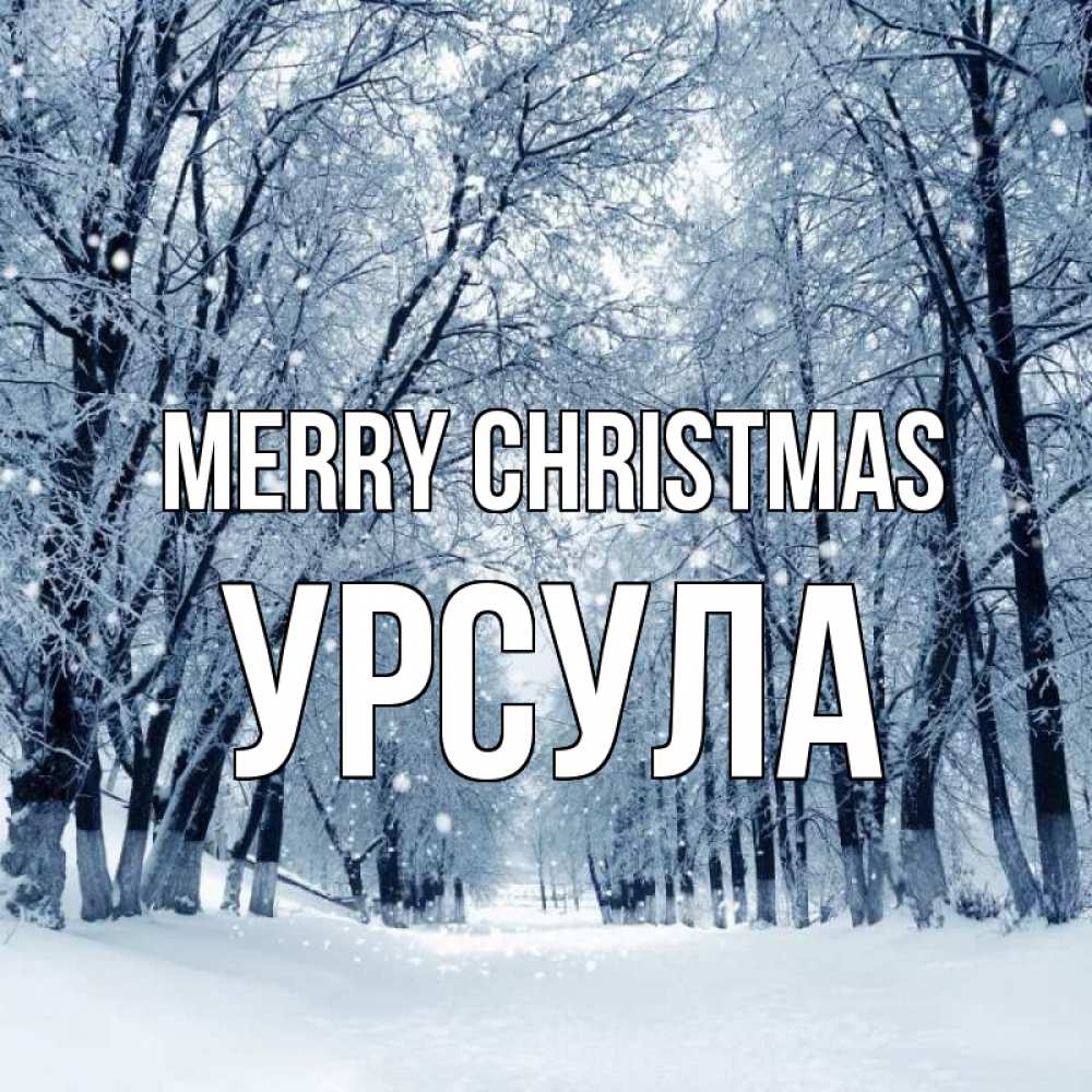 Greetings card с именем, Урсула Merry Christmas снег, лес, парк Greetings with text for free download 