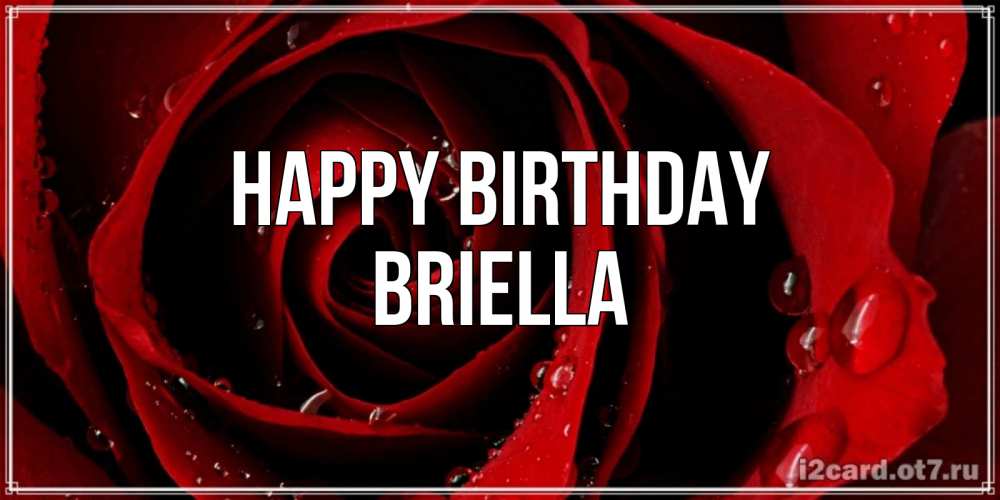 Greetings card с именем, Briella Happy Birthday крупная бордовая роза Greetings with text for free download 