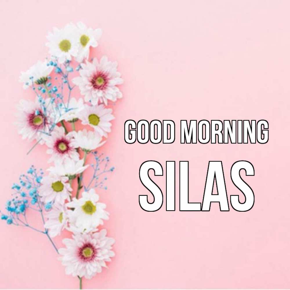Greetings card с именем, Silas Good morning цветы с подписью Greetings with text for free download 