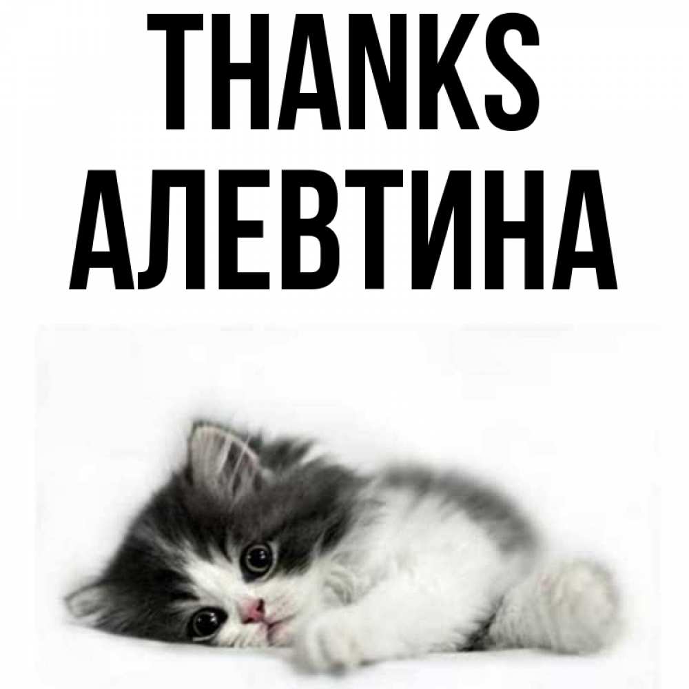 Greetings card с именем, Алевтина Thanks черный и белый кот Greetings with text for free download 