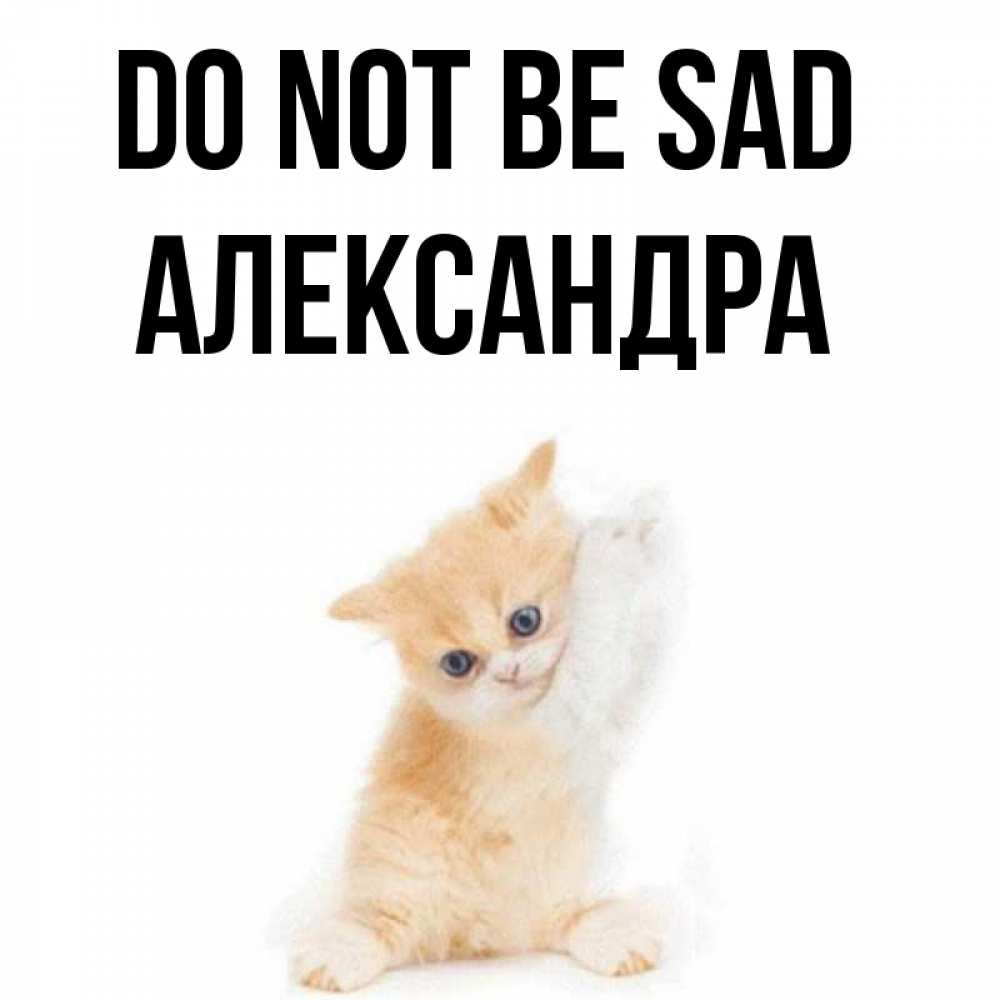 Greetings card с именем, Александра Do not be sad просящий кот Greetings with text for free download 