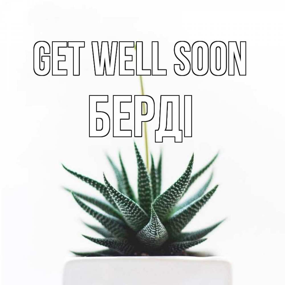 Greetings card с именем, Берді Get well soon короче это непонятная колючка Greetings with text for free download 