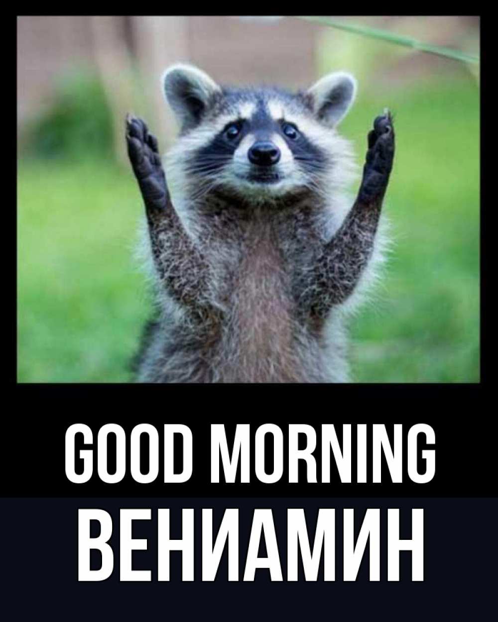 Greetings card с именем, Вениамин Good morning хорошее настроение утречком Greetings with text for free download 