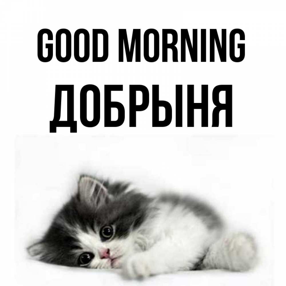 Greetings card с именем, Добрыня Good morning кот лапки Greetings with text for free download 