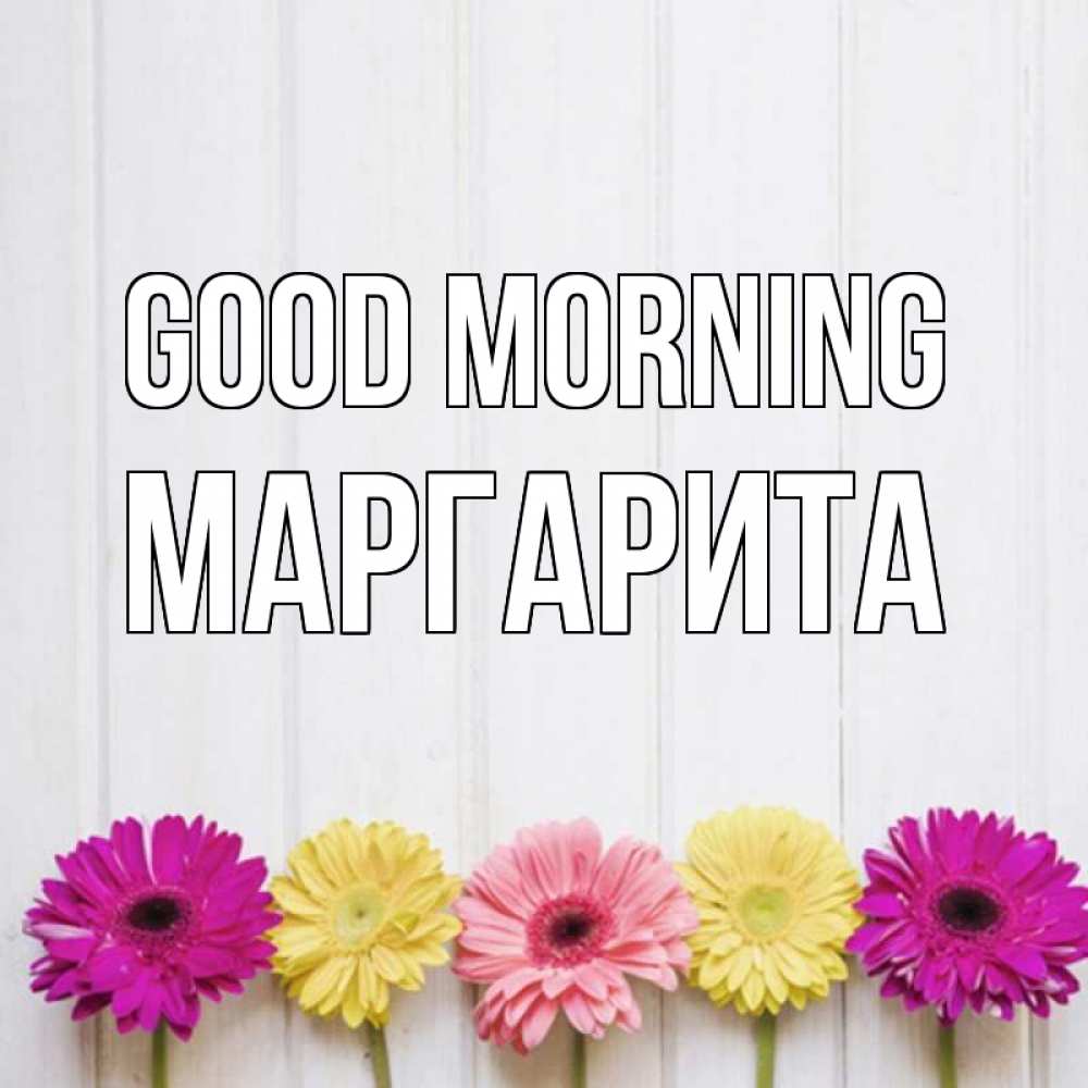 Greetings card с именем, Маргарита Good morning красный желтый и розовый цветок Greetings with text for free download 