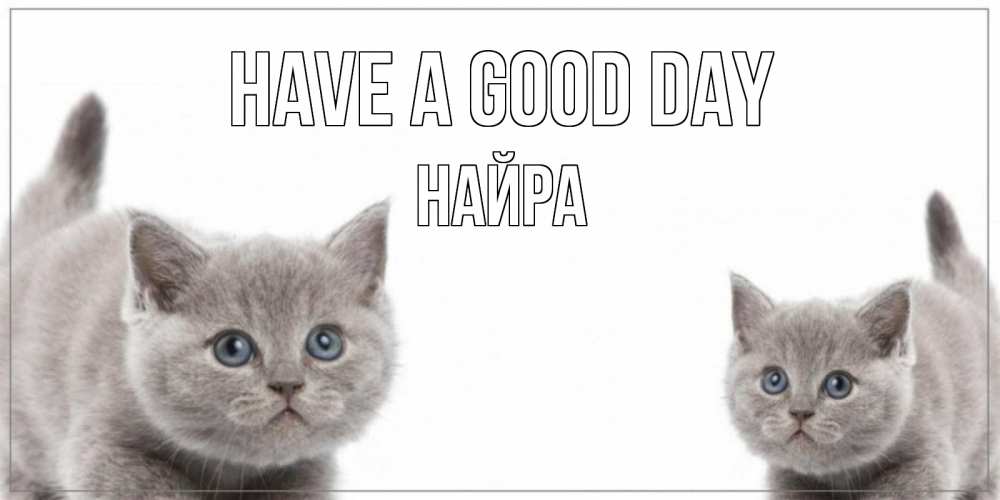 Greetings card с именем, НАЙРА Have a good day открытка с котами Greetings with text for free download 