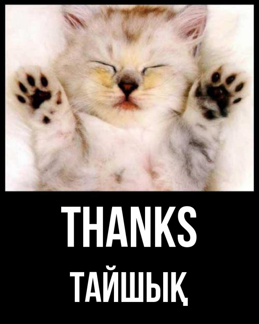 Greetings card с именем, ТАЙШЫҚ Thanks маленький котенок Greetings with text for free download 