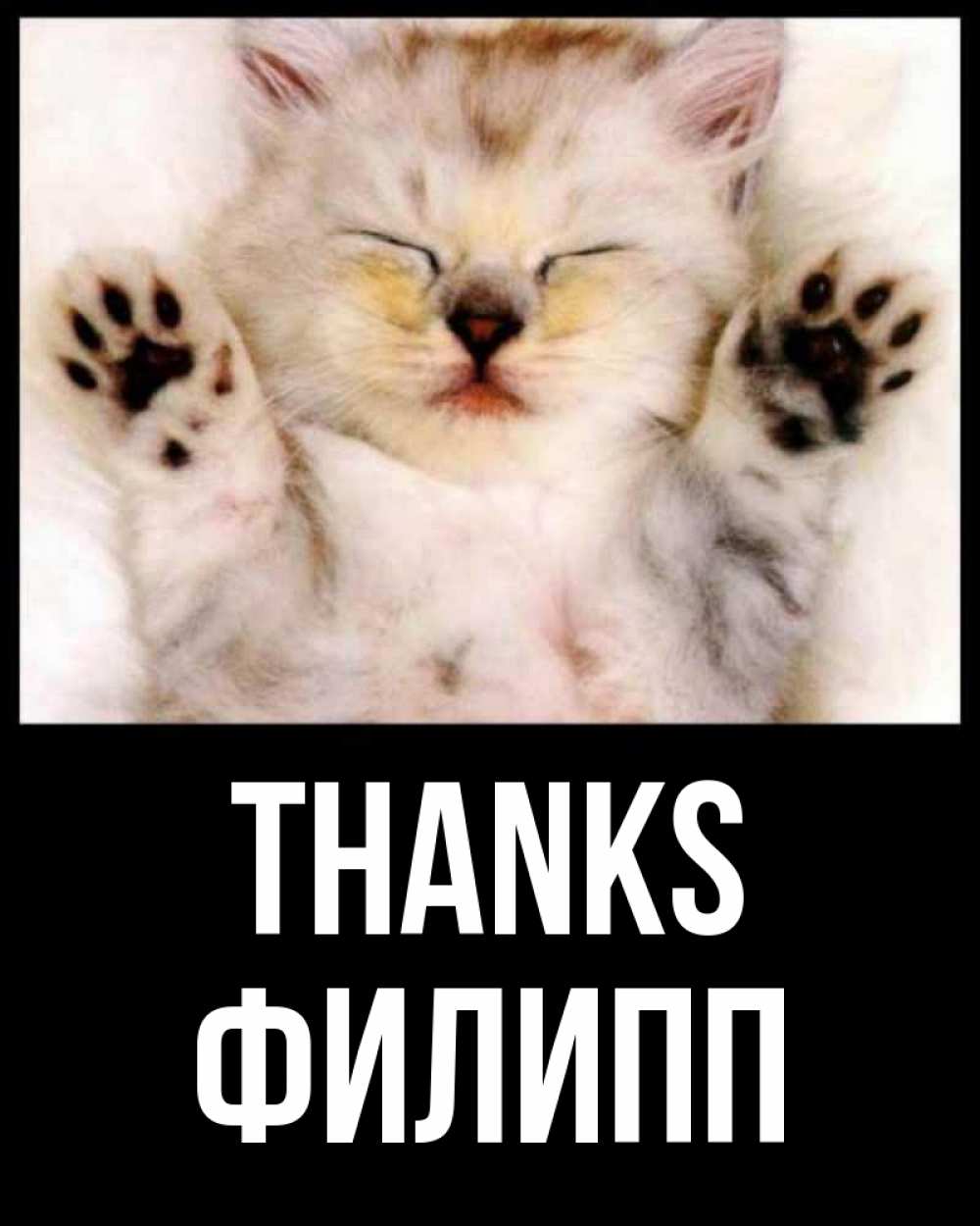 Greetings card с именем, Филипп Thanks маленький котенок Greetings with text for free download 