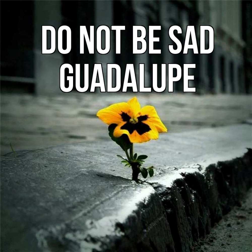 Greetings card с именем, Guadalupe Do not be sad не сдавайся Greetings with text for free download 