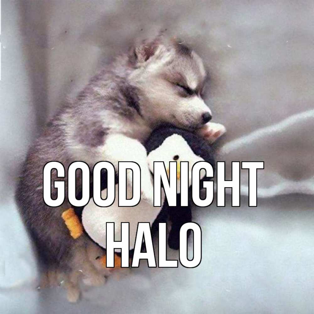 Greetings card с именем, Halo Good night обнимашки щенка и пингвина Greetings with text for free download 