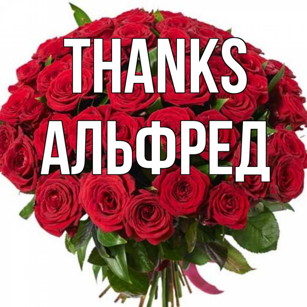 Greetings card с именем, Альфред Thanks букет красных роз Greetings with text for free download 