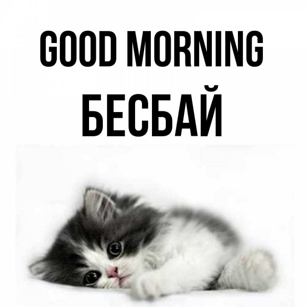 Greetings card с именем, Бесбай Good morning кот лапки Greetings with text for free download 