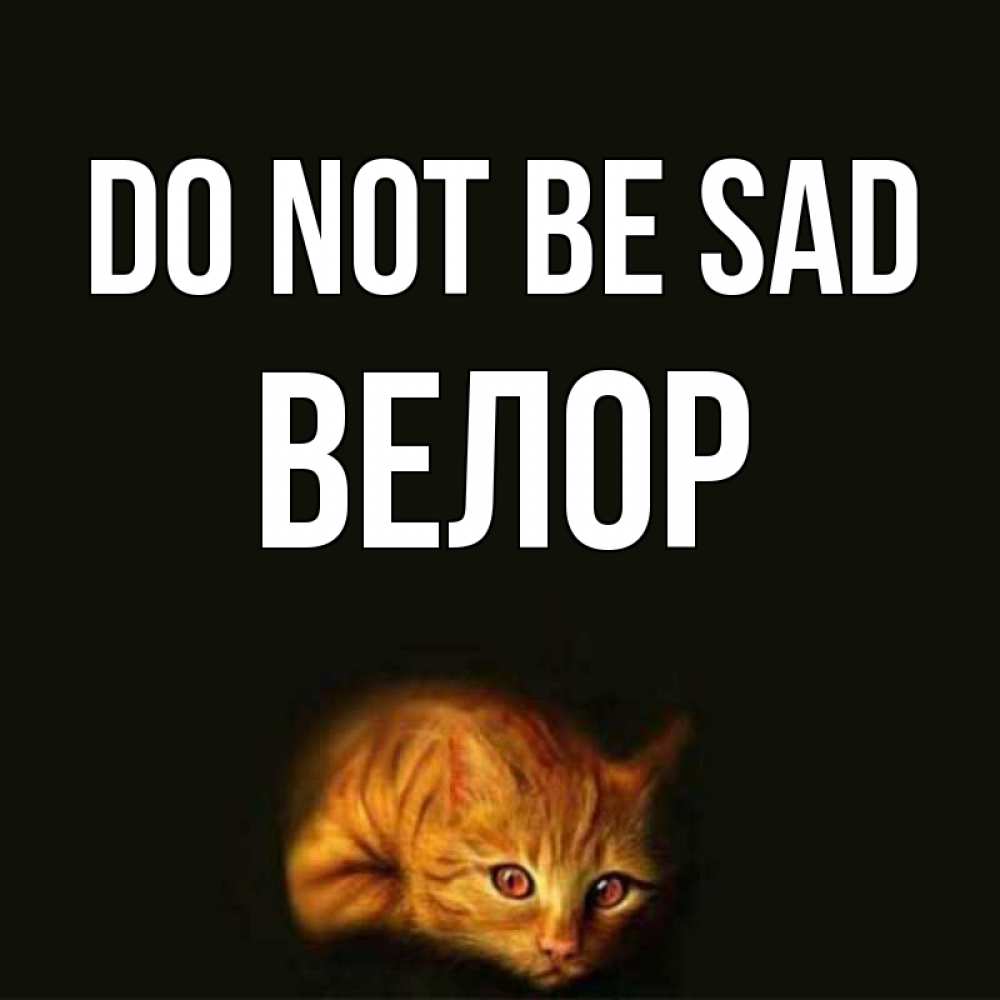 Greetings card с именем, Велор Do not be sad лежащий кот в темноте Greetings with text for free download 