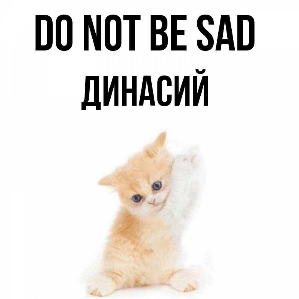 Greetings card с именем, Динасий Do not be sad просящий кот Greetings with text for free download 