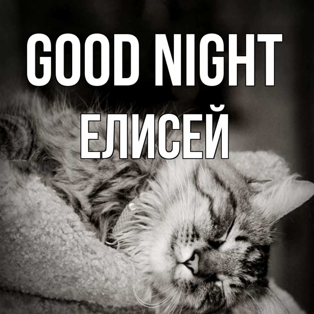 Greetings card с именем, Елисей Good night котярик пушистый Greetings with text for free download 