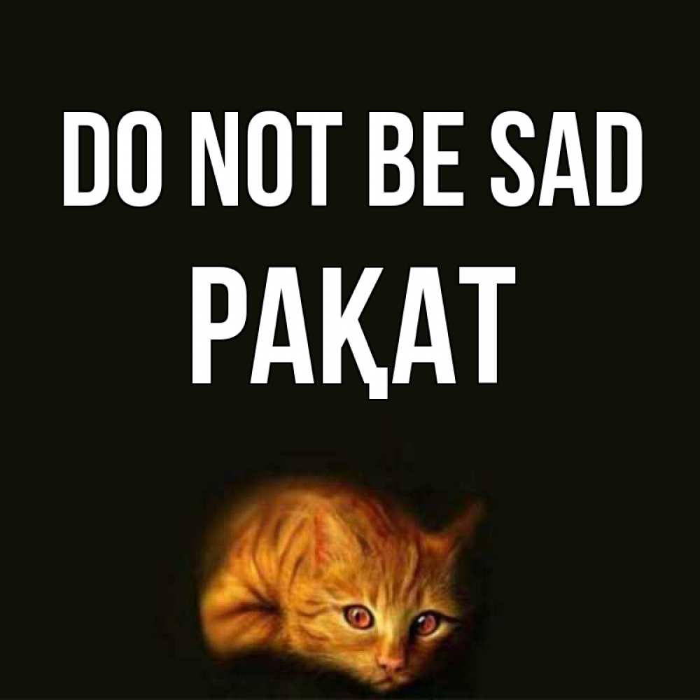 Greetings card с именем, РАҚАТ Do not be sad лежащий кот в темноте Greetings with text for free download 