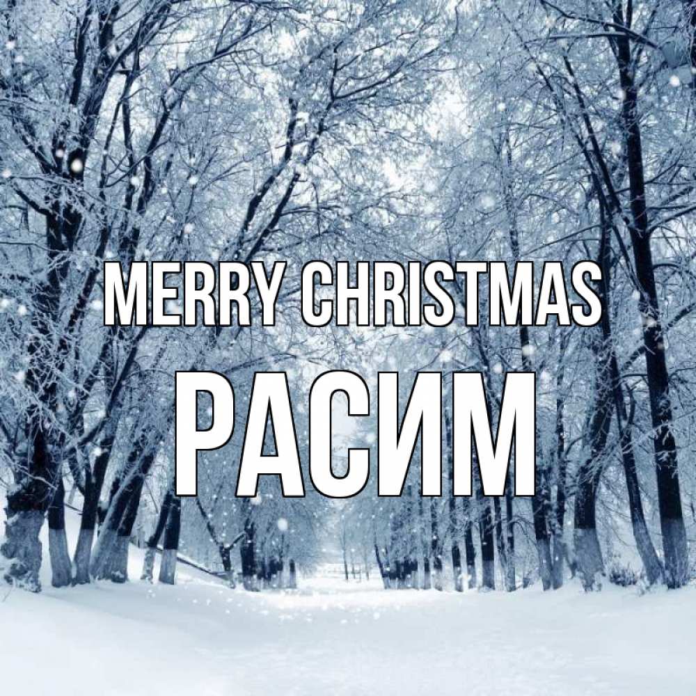 Greetings card с именем, Расим Merry Christmas снег, лес, парк Greetings with text for free download 