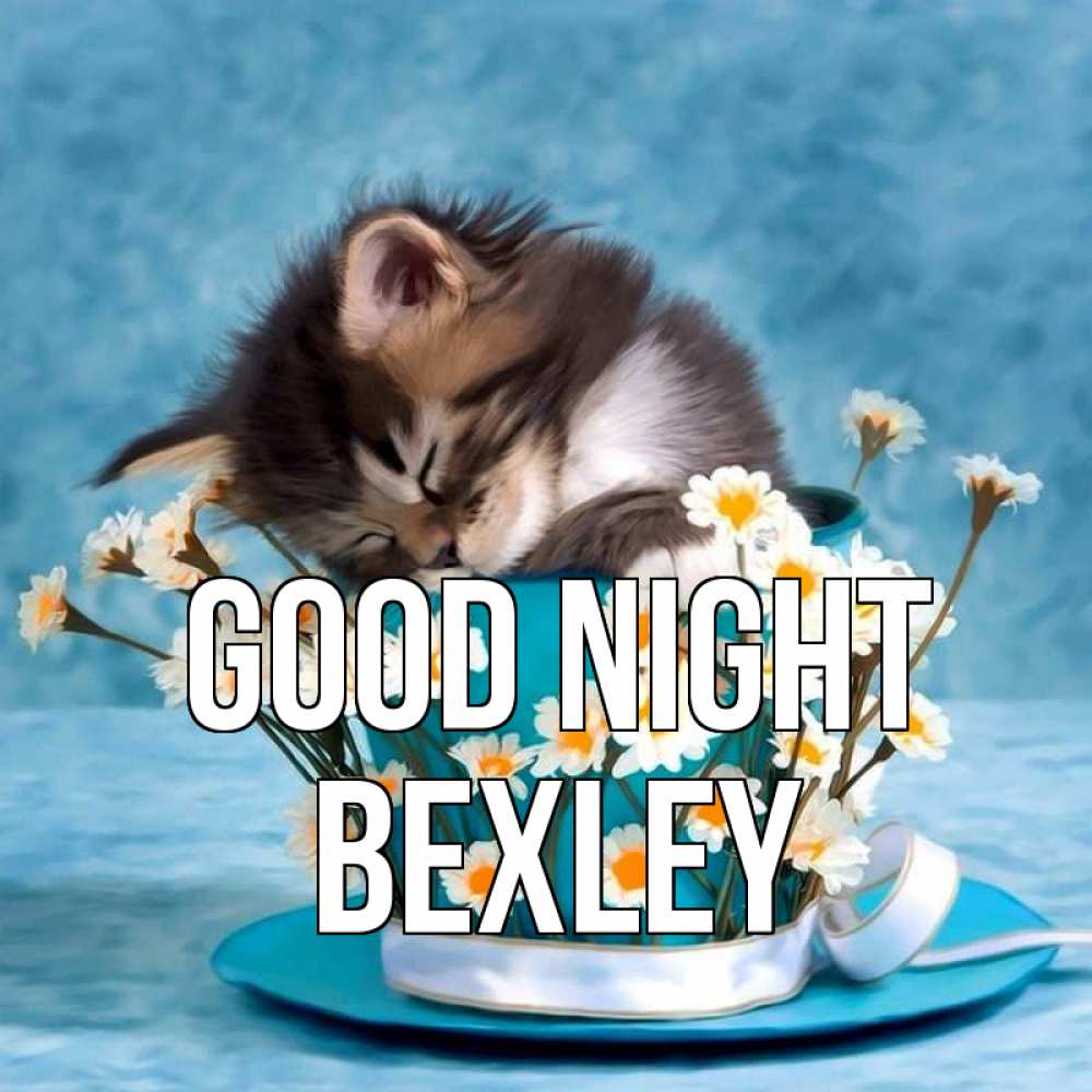 Greetings card с именем, Bexley Good night котенок спит в кружке с блюдцем Greetings with text for free download 