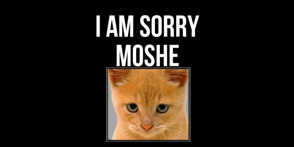 Greetings card с именем, Moshe I am sorry рыжий грустный кот просит прощения Greetings with text for free download 