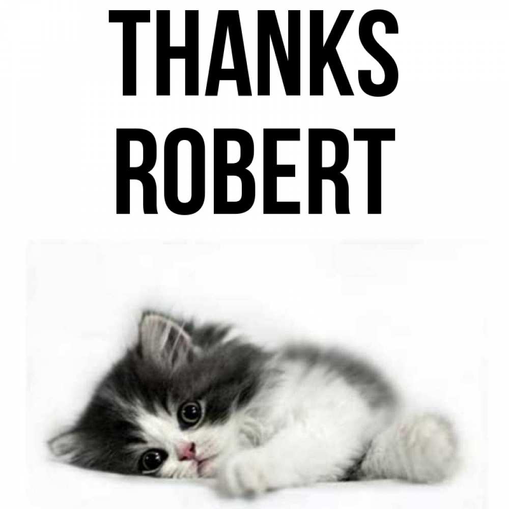 Greetings card с именем, Robert Thanks черный и белый кот Greetings with text for free download 