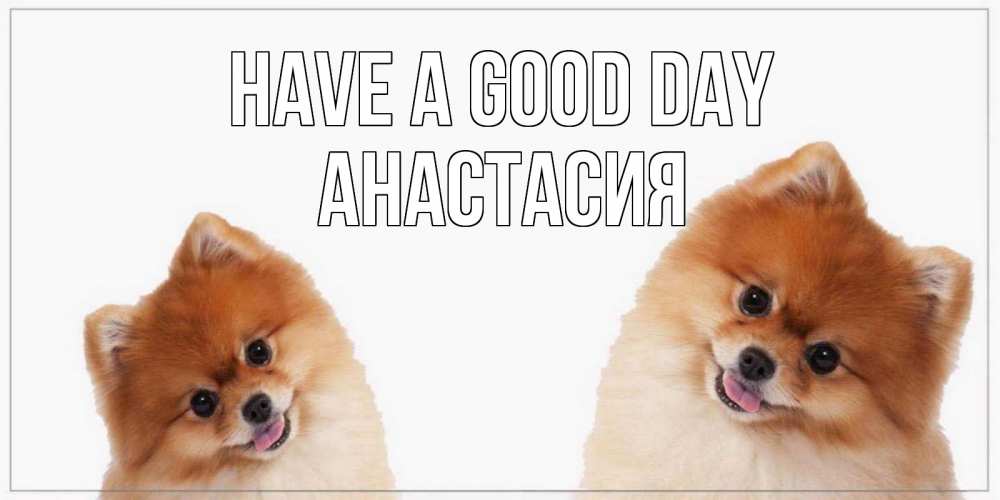 Greetings card с именем, Анастасия Have a good day собачки желают прекрасного дня Greetings with text for free download 