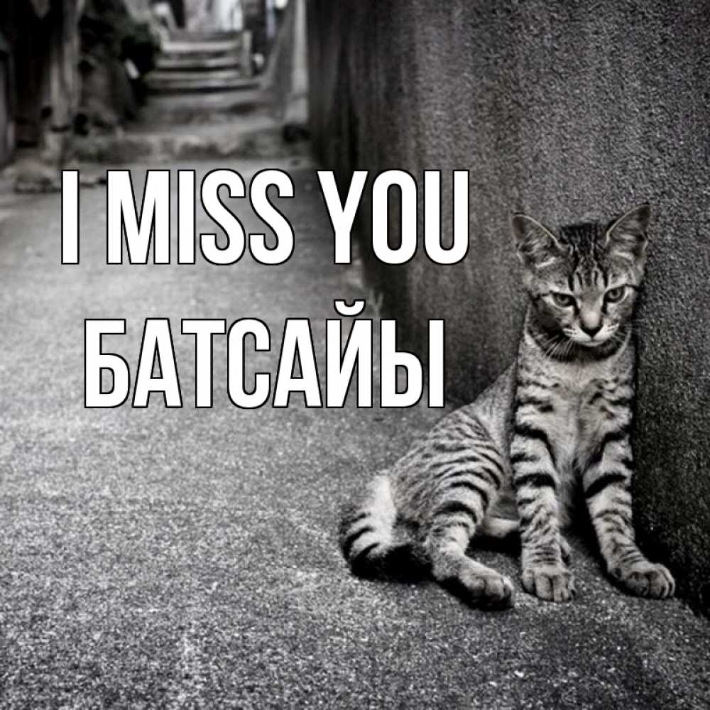 Greetings card с именем, Батсайы I miss you одиноко котику Greetings with text for free download 