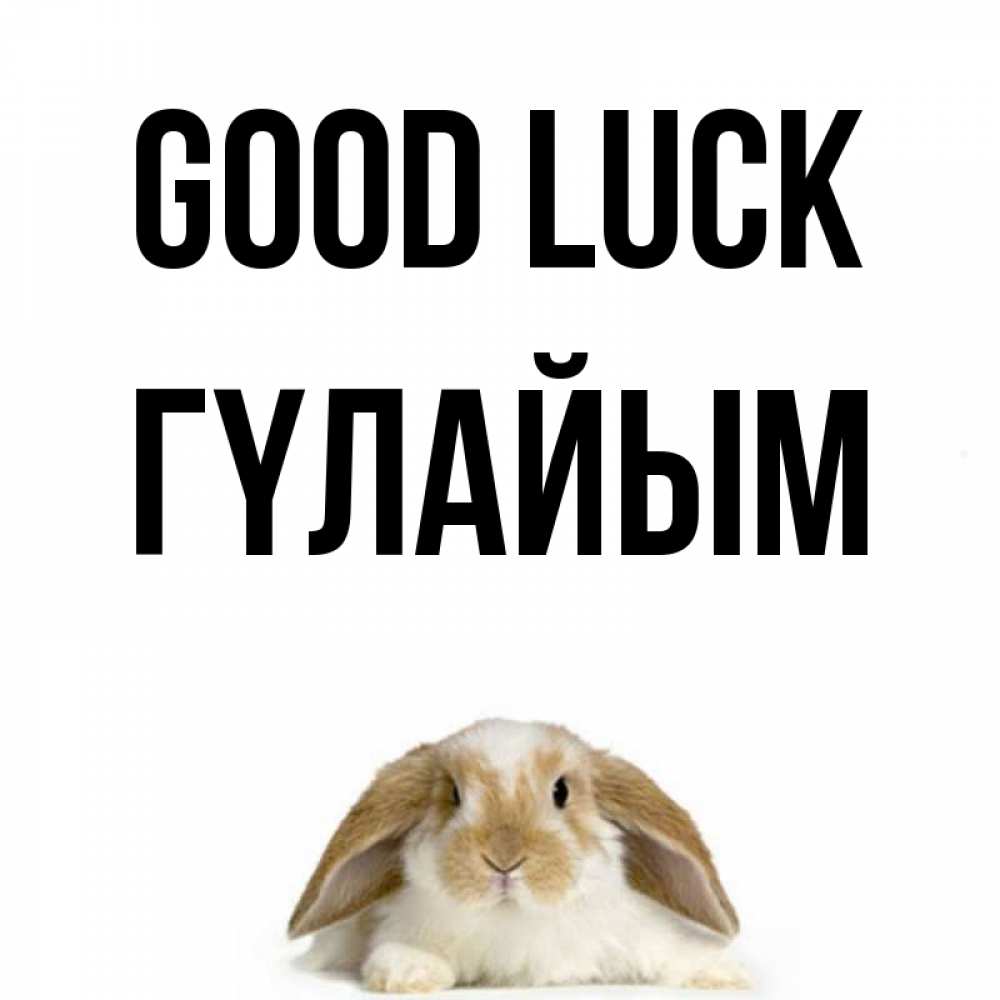 Greetings card с именем, ГҮЛАЙЫМ Good luck открытки с произвольным текстом который можно вставить в открытку и создать ее самостоятельно бесплатно онлайн Greetings with text for free download 