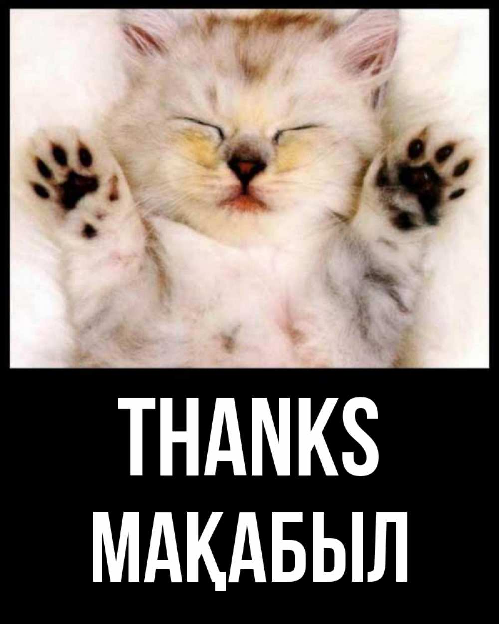 Greetings card с именем, МАҚАБЫЛ Thanks маленький котенок Greetings with text for free download 