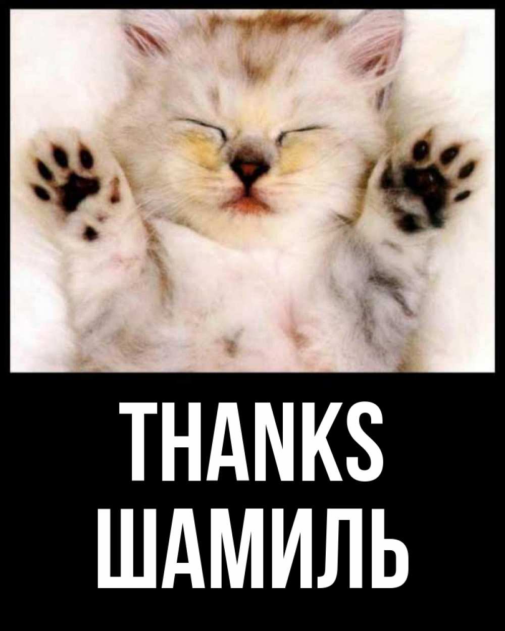Greetings card с именем, Шамиль Thanks маленький котенок Greetings with text for free download 
