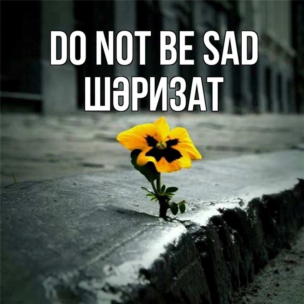 Greetings card с именем, ШӘРИЗАТ Do not be sad не сдавайся Greetings with text for free download 