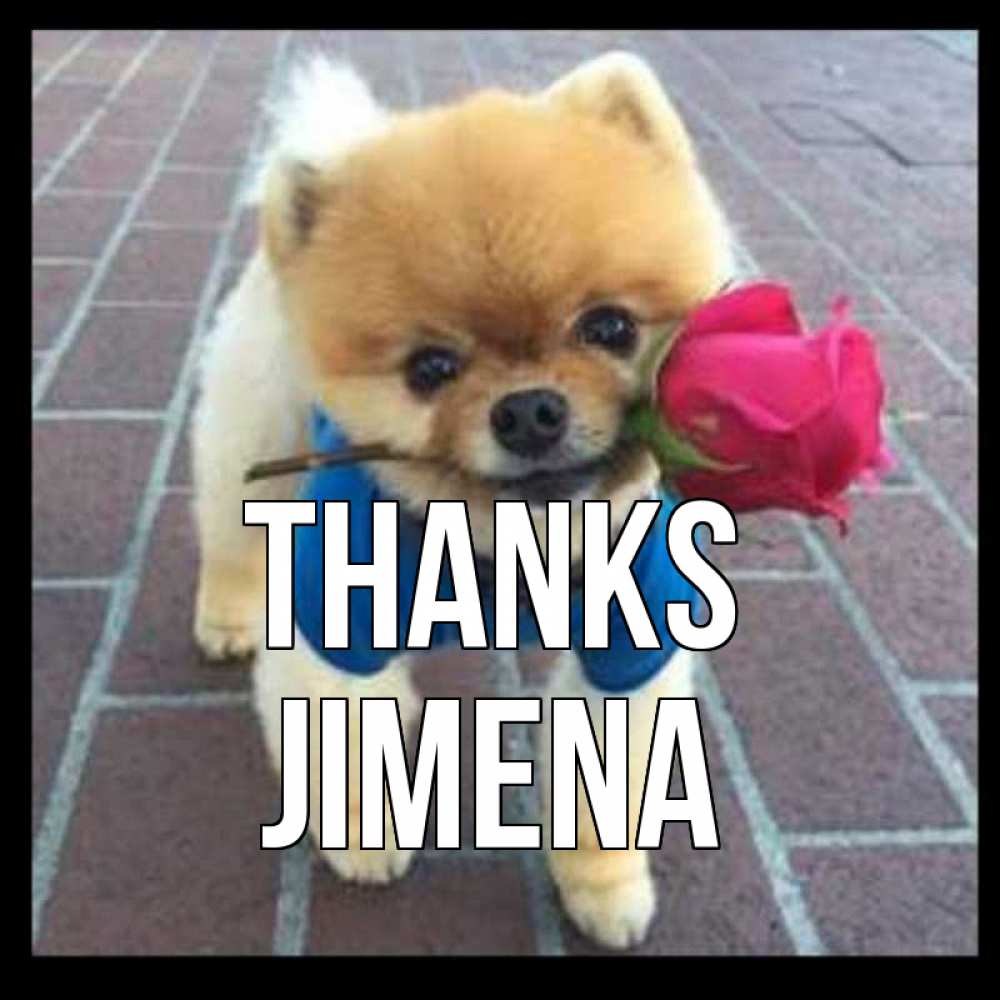 Greetings card с именем, Jimena Thanks спасибо и дарю тебе цветок Greetings with text for free download 