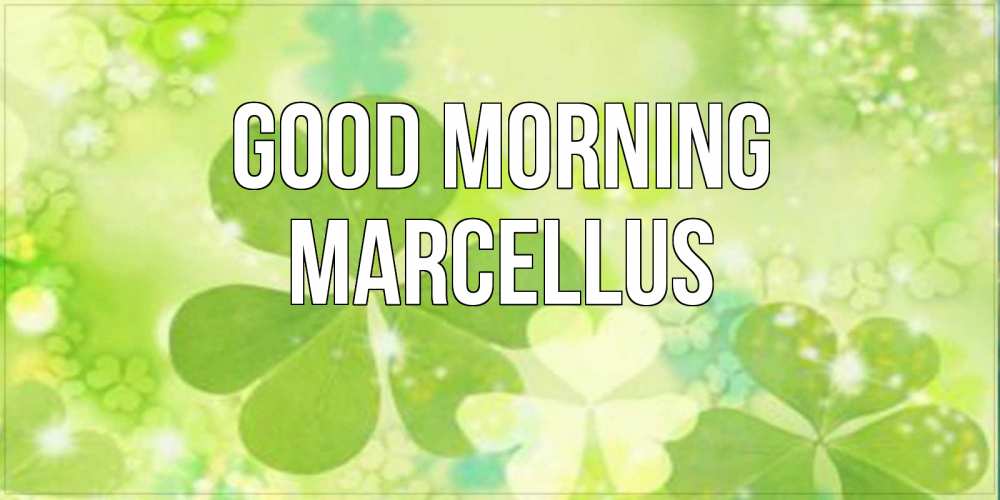 Greetings card с именем, Marcellus Good morning открытка с листьями летними зелеными Greetings with text for free download 