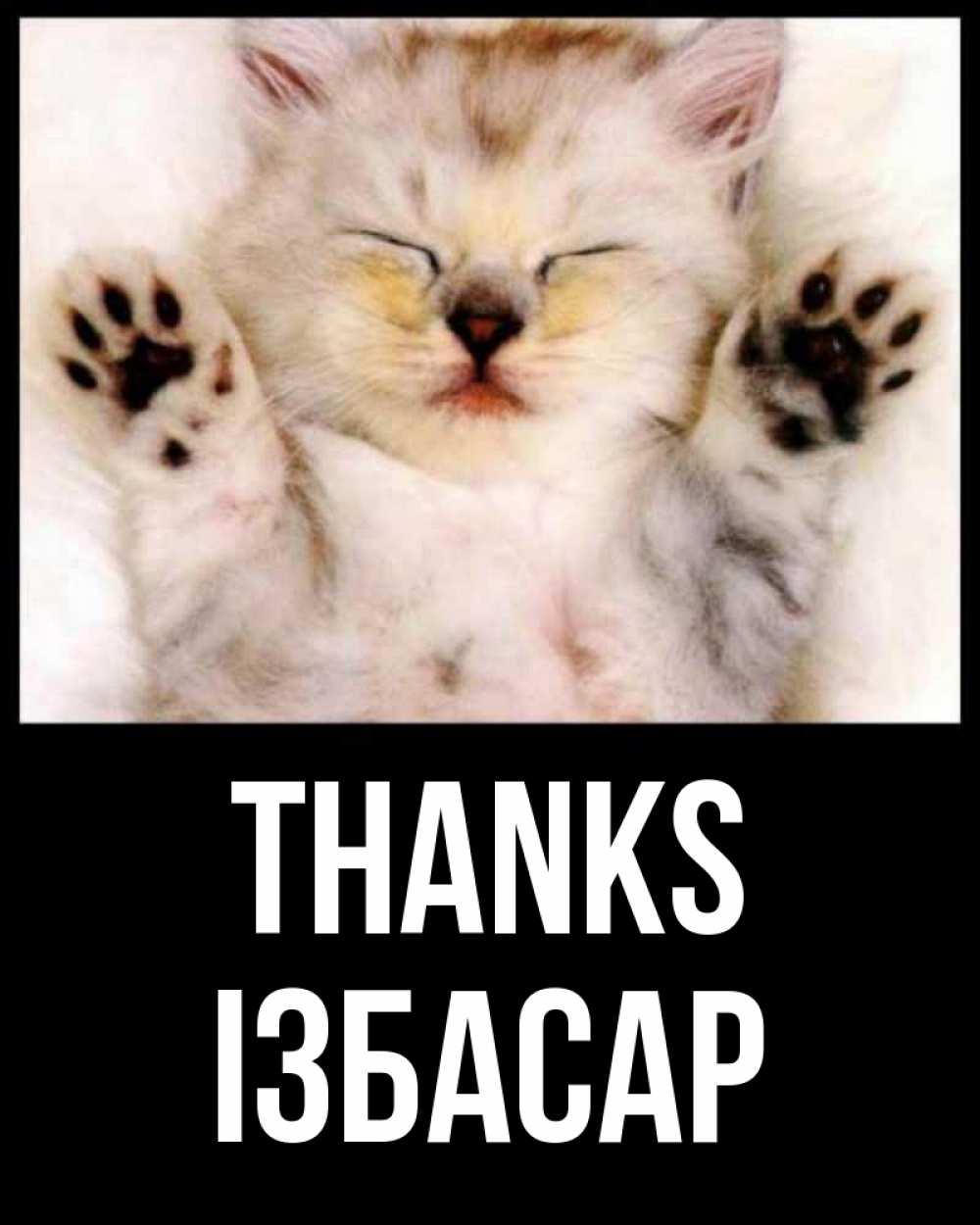 Greetings card с именем, Ізбасар Thanks маленький котенок Greetings with text for free download 