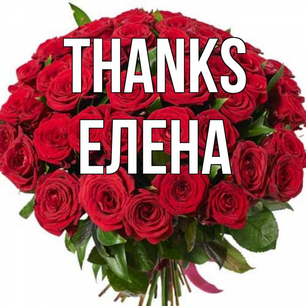 Greetings card с именем, Елена Thanks букет красных роз Greetings with text for free download 
