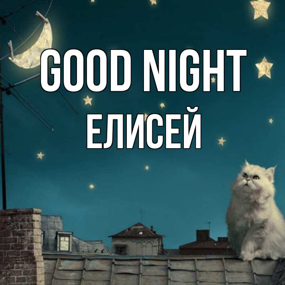 Greetings card с именем, Елисей Good night белый кот сидит на крыше Greetings with text for free download 