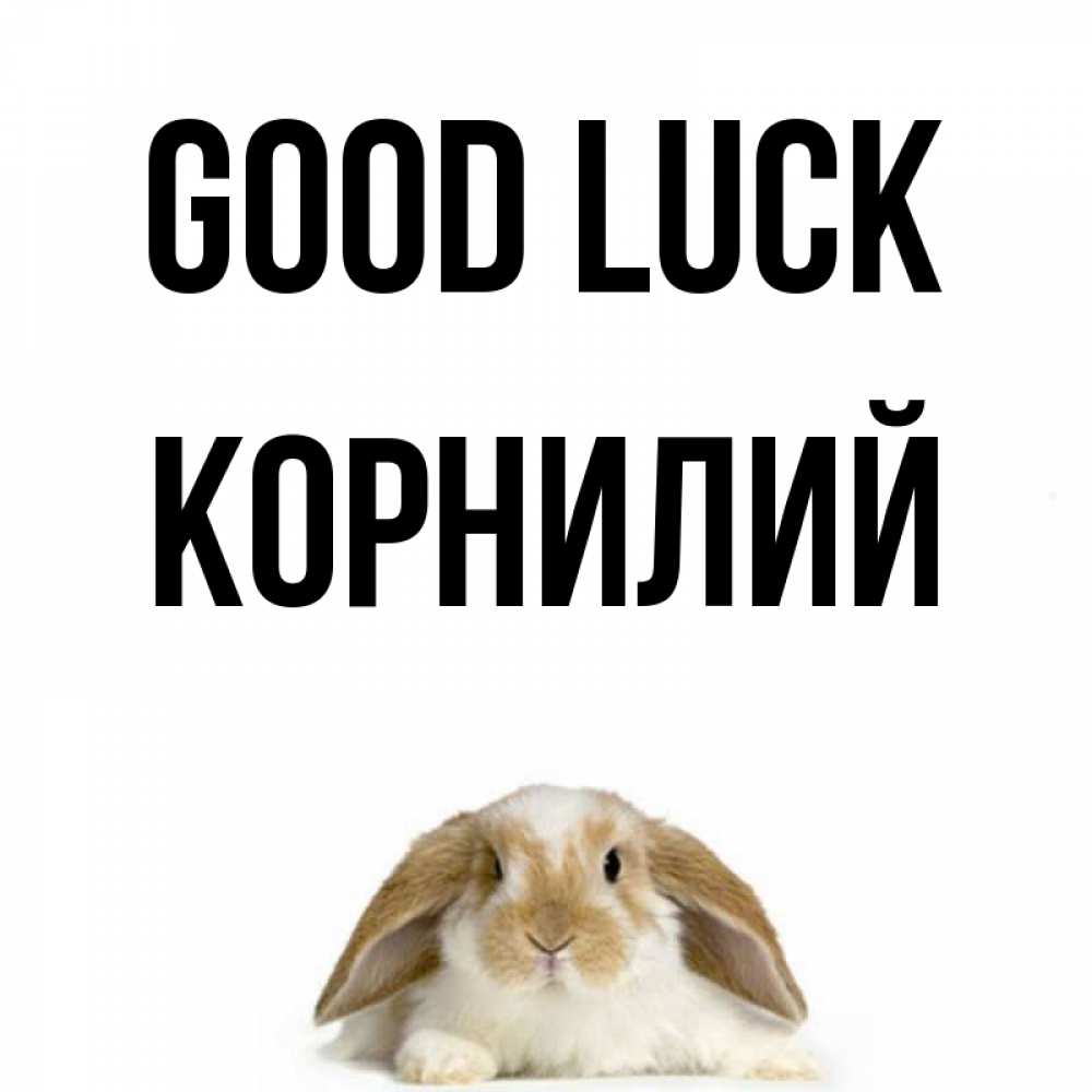 Greetings card с именем, Корнилий Good luck открытки с произвольным текстом который можно вставить в открытку и создать ее самостоятельно бесплатно онлайн Greetings with text for free download 