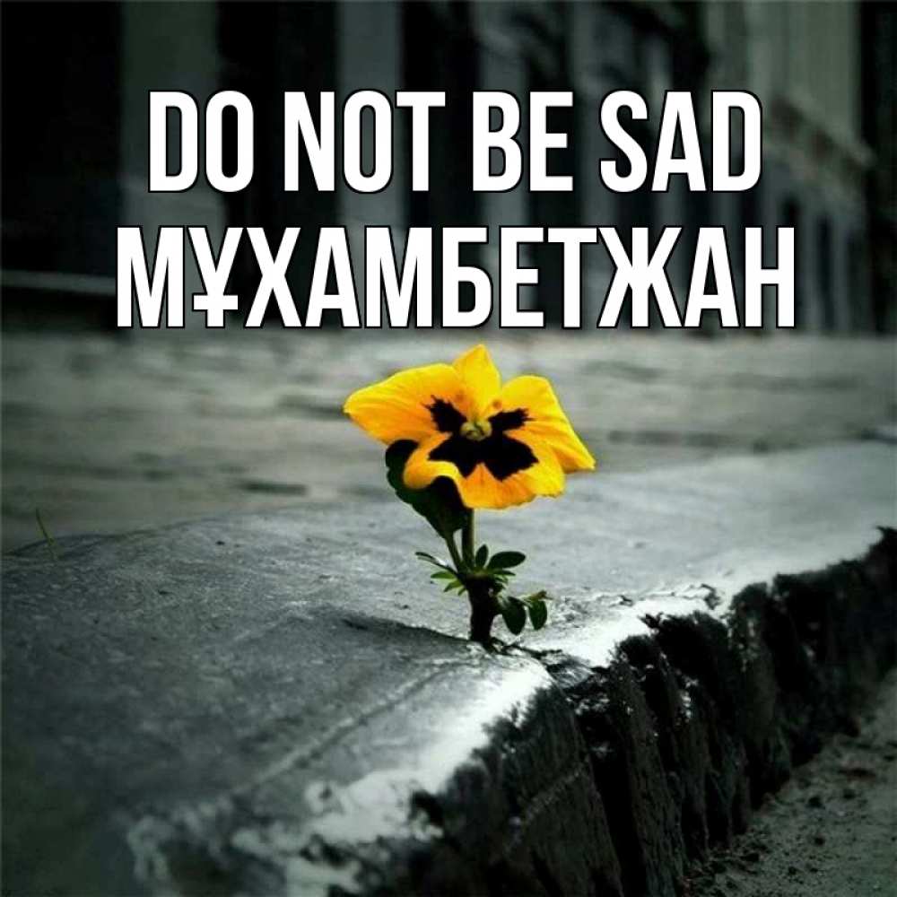 Greetings card с именем, МҰХАМБЕТЖАН Do not be sad не сдавайся Greetings with text for free download 